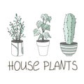 Green floral house plants illustration set. Outline home flowers in pots in line art anf flat style isolated on white background