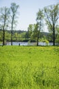 Green floral natural meadow in forest park near river with boats, summer spring day. Blurred walking people