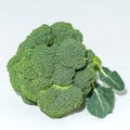 Green florets of broccoli