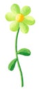 Green flower