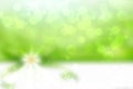 Green flower background. Abstract background texture with floral design in light green and white bokeh as element for design of Royalty Free Stock Photo