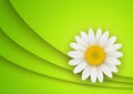 Green flower Background