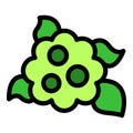 Green flower with leaves growing in springtime vector illustration Royalty Free Stock Photo