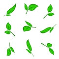 Green flower leaves. Pattern. number2