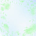 Green flower petals falling down. Majestic romantic flowers vignette. Flying petal on blue sky squar