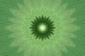 Green flower spring pattern floral. grass indian Royalty Free Stock Photo