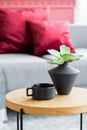 Flowers in black vase next to black coffee cup on wooden coffee table in stylish interior Royalty Free Stock Photo