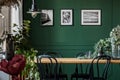 Green flowers in glass vase on long wooden table with black chairs in elegant living room