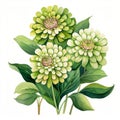 Delicate Green Daisy Flowers: A Detailed Rendering In The Style Of Catherine Nolin