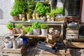 Green flowers stall gardening old fashioned style stylish serving