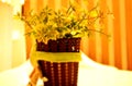 Green flowers on the table - image. Blurred