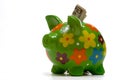 Green Flowery Piggy Bank Royalty Free Stock Photo