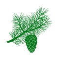 Green fluffy cedar branch and two cones. Isolated on white vector illustration Royalty Free Stock Photo