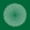 Green Fluffy Hair Pom, 3D illustration on Green Royalty Free Stock Photo