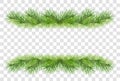 Green fluffy pine branches for christmas garland decoration isolated on transparent background