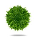 Green fluffy pompom or hair ball isolated on white background