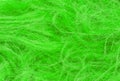 Green fluffy wool texture, animal wool background, painted fur texture closeup Royalty Free Stock Photo