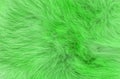 Green fluffy wool texture, animal wool background, painted fur texture closeup Royalty Free Stock Photo