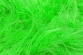 Green fluffy wool texture, animal wool background, painted fur texture closeup Royalty Free Stock Photo
