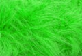 Green fluffy wool texture, animal wool background, painted fur texture closeup Royalty Free Stock Photo