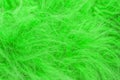 Green fluffy wool texture, animal wool background, painted fur texture closeup Royalty Free Stock Photo