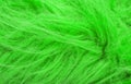 Green fluffy wool texture, animal wool background, painted fur texture closeup Royalty Free Stock Photo