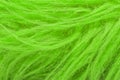 Green fluffy wool texture, animal wool background, painted fur texture closeup Royalty Free Stock Photo