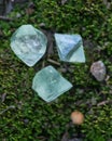 Green Fluorite Natural Octahedron Crystals on the green moss in the forest