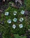 Green Fluorite Natural Octahedron Crystals on the green moss in the forest