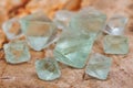 Green Fluorite Natural Octahedron Crystals on Natural Polished Petrified wood slab