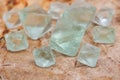 Green Fluorite Natural Octahedron Crystals on Natural Polished Petrified wood slab