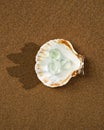 Green Fluorite Natural Octahedron Crystals in a sea shell on the beach