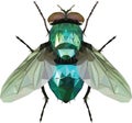 Green Fly triangle