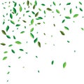 Green flying or falling off leaves. Vector abstract foliage background