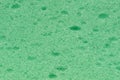 Green foam rubber. Background Royalty Free Stock Photo