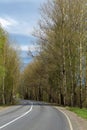 green fog scenic highway outdoors way street Royalty Free Stock Photo