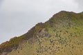 Green Foggy Mountain Landscape of the HImalayas in Kagbeni of Upper Mustang, Nepal Royalty Free Stock Photo