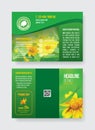 Green A4 fold3 brochure template two side grasshopper on yellow flower, white daisy floral logo and demo text. Royalty Free Stock Photo