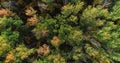 Green foliage aerial tree tops autumn wild reserve Royalty Free Stock Photo