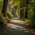 And green foliage arch over the path, casting dappled sunlight on Royalty Free Stock Photo