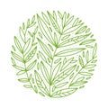 Green foliage. Vector botanical round sketch of tea buch, branch, leaves on white background. Outlined design in circle
