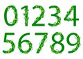 Green font numbers from 1 to 0 with leaves and flowers. Nature style. Vector