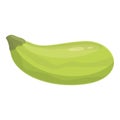 Green food icon cartoon vector. Vegetable zucchini Royalty Free Stock Photo