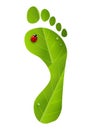 Green foot print with ladybug