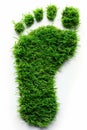 A green foot print Royalty Free Stock Photo