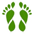 Green footprint Royalty Free Stock Photo