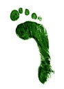 Green footprint Royalty Free Stock Photo