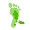 Green footprint icon with a green branch. Ecological concept Royalty Free Stock Photo