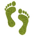 Green footprints Royalty Free Stock Photo
