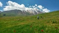 Trekkers in green fields of Damavand , Iran